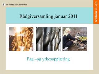 Rådgiversamling januar 2011