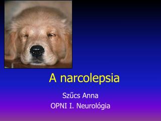 A narcolepsia