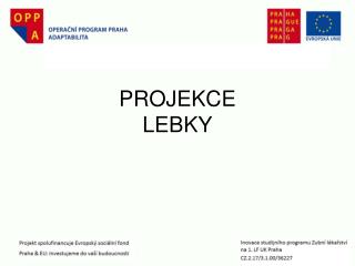 PROJEKCE LEBKY