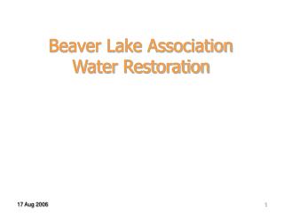 Beaver Lake Association Water Restoration