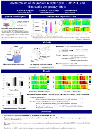 Polymorphism of the μ opioid receptor gene (OPRM1) and visuotactile congruency effect