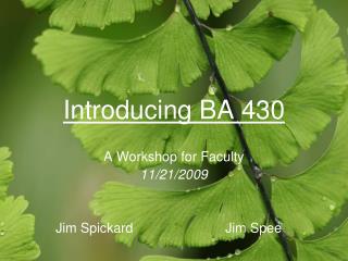 Introducing BA 430