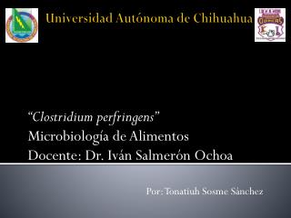 Universidad Autónoma de Chihuahua