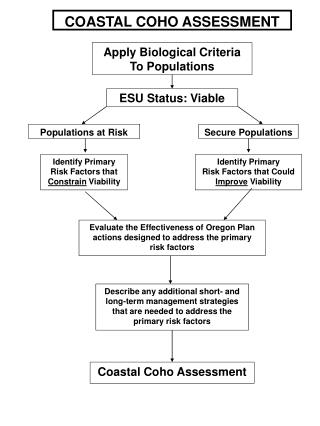 COASTAL COHO ASSESSMENT