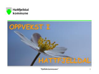 OPPVEKST I HATTFJELLDAL