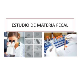 ESTUDIO DE MATERIA FECAL