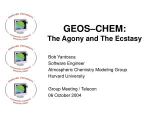 GEOS–CHEM: The Agony and The Ecstasy