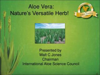 Aloe Vera: Nature’s Versatile Herb!