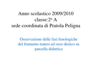 Anno scolastico 2009/2010 classe:2 a A sede coordinata di Pratola Peligna