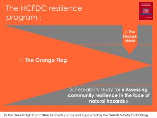 The HCFDC resilience program :