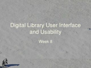 Digital Library User Interface and Usability