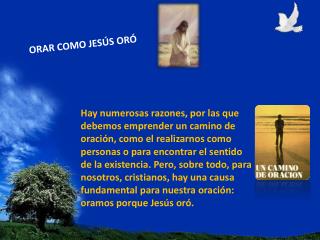 ORAR COMO JESÚS ORÓ