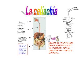 La celiachia