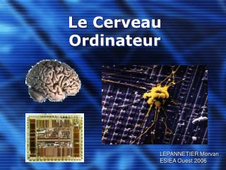 Le Cerveau Ordinateur