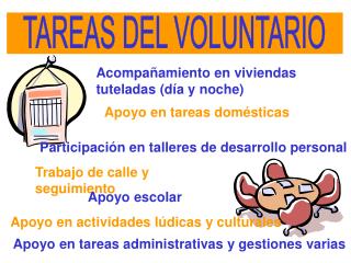 TAREAS DEL VOLUNTARIO