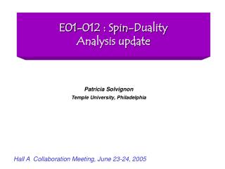 E01-012 : Spin-Duality Analysis update