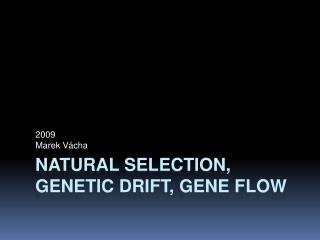 Natural selection, genetic drift, gene flow