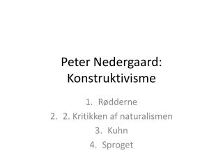 Peter Nedergaard: Konstruktivisme