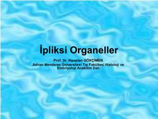 İpliksi Organeller