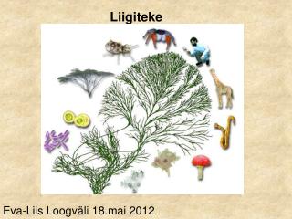 Liigiteke