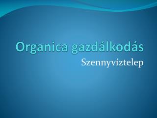 Organica gazdálkodás