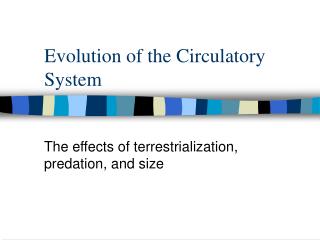 Evolution of the Circulatory System