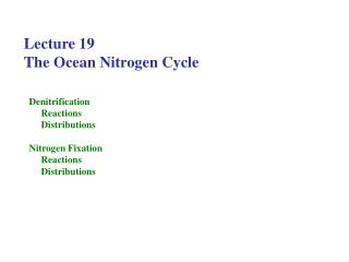 Lecture 19 The Ocean Nitrogen Cycle