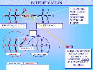 ESTERIFICATION