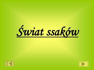 Świat ssaków