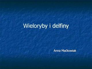 Wieloryby i delfiny