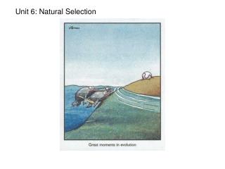 Unit 6: Natural Selection