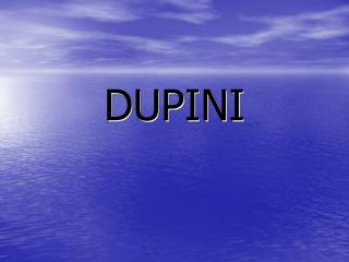 DUPINI