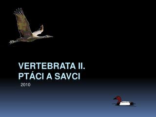 Vertebrata II. Ptáci a Savci