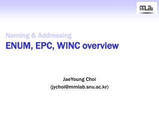 Naming &amp; Addressing ENUM, EPC, WINC overview