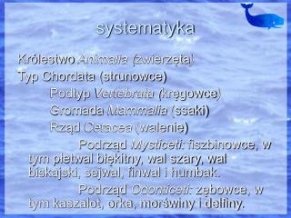 systematyka