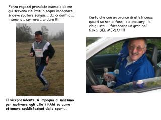 Vigiu_auto