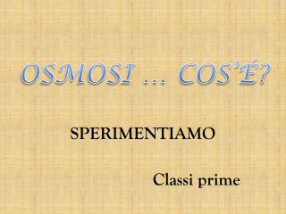 SPERIMENTIAMO Classi prime