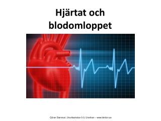 Hjärtat &amp; Blodomloppet