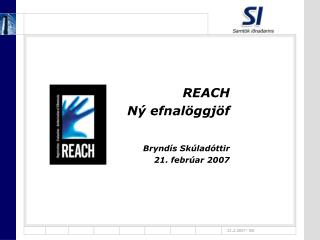 REACH Ný efnalöggjöf Bryndís Skúladóttir 21. febrúar 2007