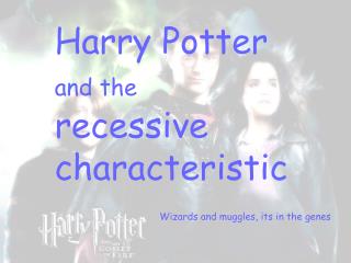 Harry Potter and the recessive characteristic