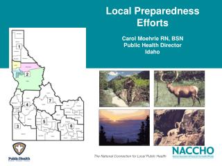 Local Preparedness Efforts Carol Moehrle RN, BSN Public Health Director Idaho