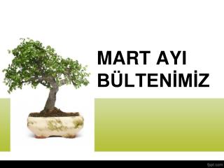 MART AYI BÜLTENİMİZ