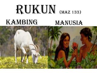 RUKUN (maz 133)
