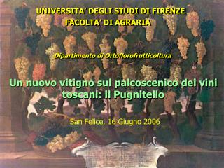 UNIVERSITA’ DEGLI STUDI DI FIRENZE