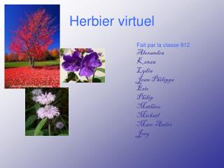 Herbier virtuel