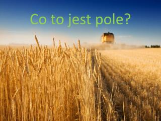 Co to jest pole?