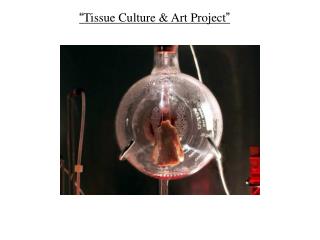 “ Tissue Culture & Art Project ”
