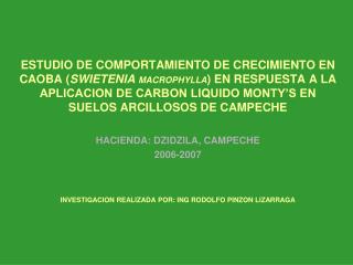 HACIENDA: DZIDZILA, CAMPECHE 2006-2007 INVESTIGACION REALIZADA POR: ING RODOLFO PINZON LIZARRAGA