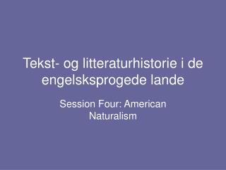 Tekst- og litteraturhistorie i de engelsksprogede lande