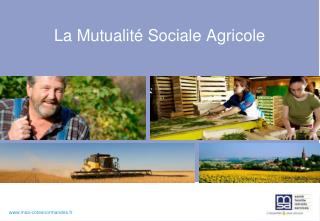 La Mutualité Sociale Agricole